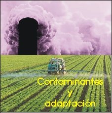 Contaminantes